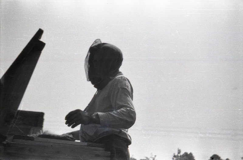 To jest ten wujo Stefan on miał ule, i tutaj miód podbiera, miał taką siatkę.