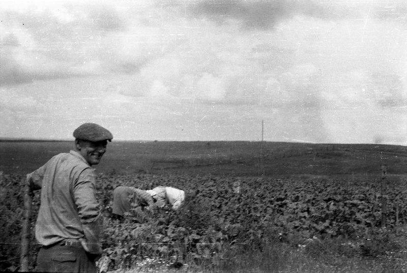 Ten z Francji co przyjechał, Aleksander Popowicz. Buraki uprawiał cukrowe. I to wszystko były jego pola, on miał tam chyba ze sto hektarów, wtedy dostał. A później PGR mu to zabrał, to wszystko.